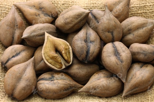 Preview: heart shaped walnuts, japanese himegurumi