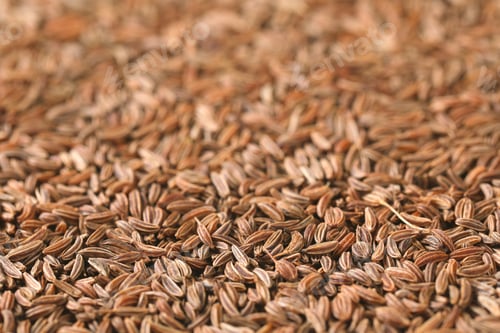 Preview: detail of caraway seeds