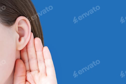 Preview: Female hand holding ear on blue background close-up.