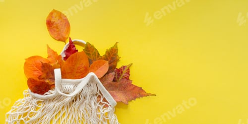 Preview: autumn leaves in eco mesh bag