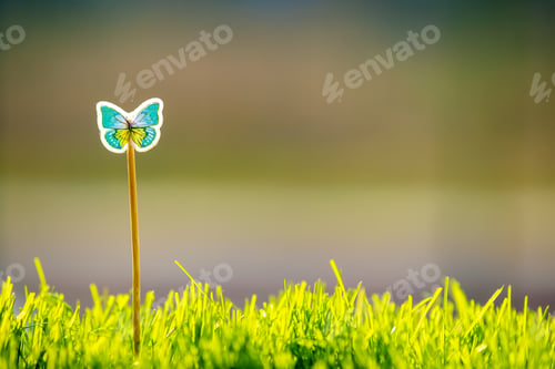 Preview: Close up of small green grass with special cute toy small butterfly. Concept of beautiful plants