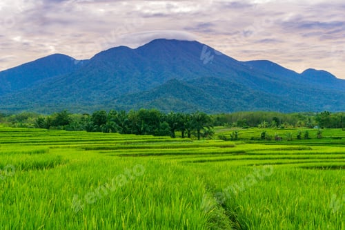 Preview: beautiful morning view from Indonesia of mountains and tropical forest