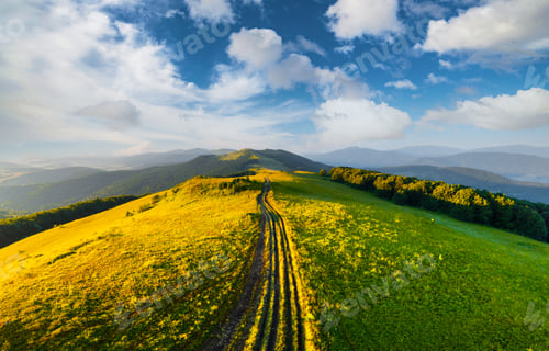 Preview: Amazing scene on summer mountains