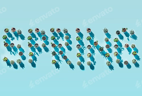 Preview: top view of word spring made from green potted plants on blue