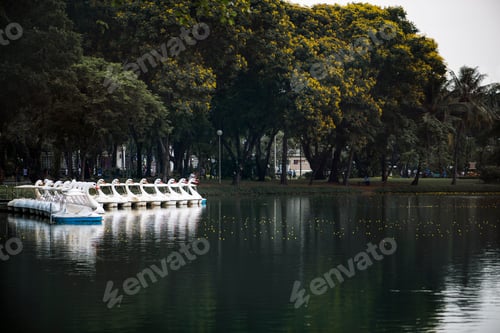 Preview: Swan paddle boats in Lumphini Park, Bangkok