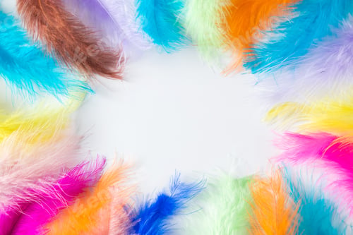Preview: Frame of multi-colored light feathers on a white background.