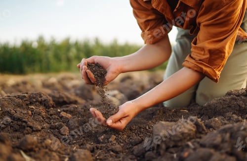 Preview: Expert hand of farmer woman checking soil health before growth seed of vegetable. Gardening concept.