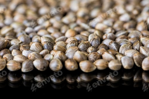 Preview: Heap of hemp seeds on a black surface