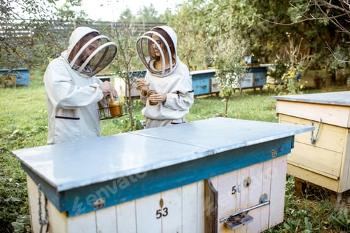 Preview: Beekepers working no the apiary