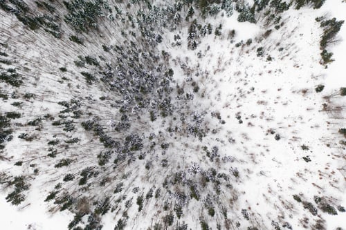 Preview: Aerial drone view of a winter landscape. Snow covered forest.