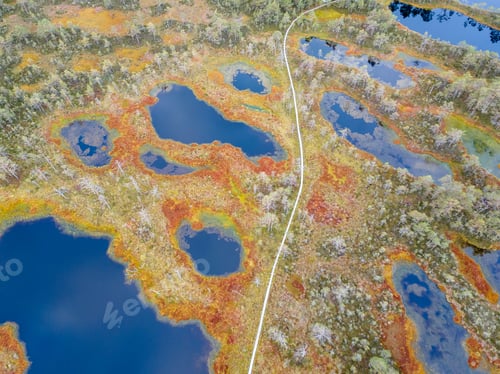 Preview: Wooden hiking trails in swamps