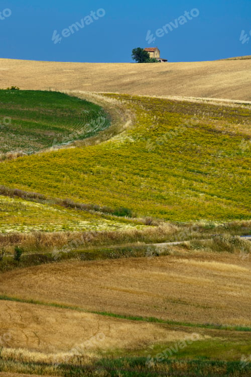 Preview: Landscape along the road from Termoli to Serracapriola, Southern Italy