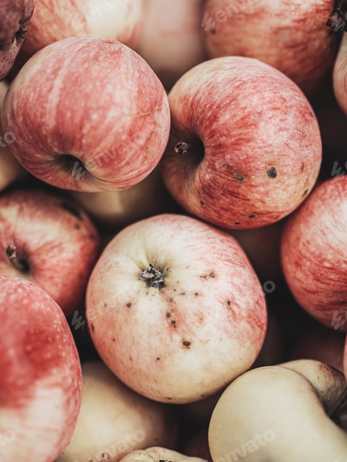 Preview: Apples in the basket