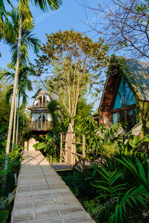 Preview: wooden cottage surrounded by palm trees and a vegetable garden in the countryside. cabin rainforest