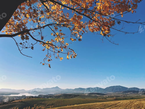 Preview: Autumn sunny da, autumn tree, mountains and blue sky