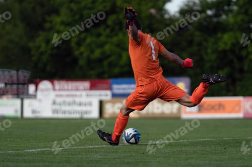 Preview: A goalkeeper in action