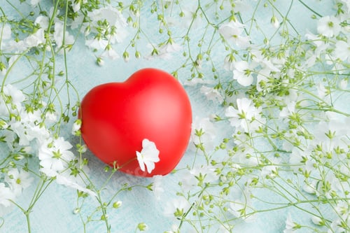 Preview: Volumetric red heart among small white flowers on a blue background