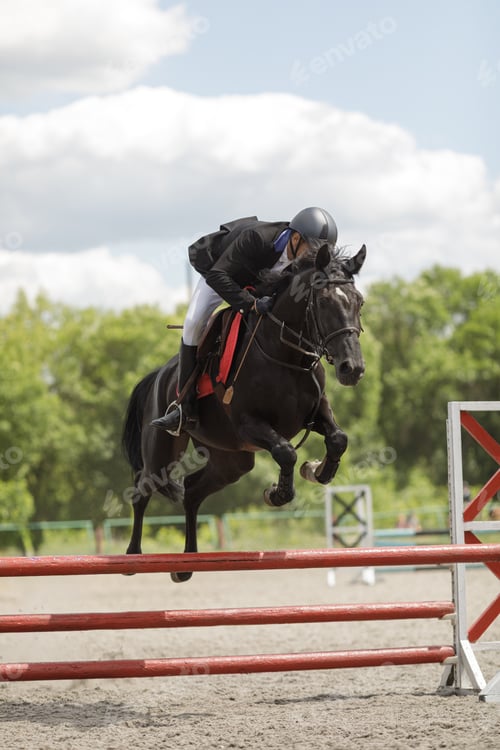 Preview: Show jumping rider on black horse clearing red obstacle in outdoor arena