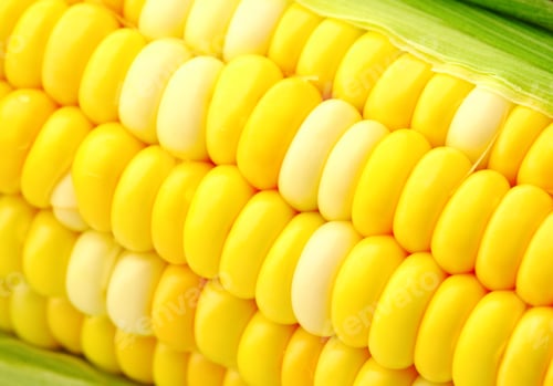 Preview: corn cob