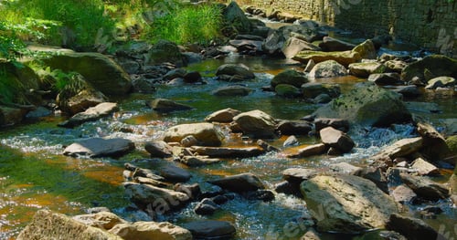Preview: Stream flowing in forest. Leisure activity. Creek, greenery. Mountain river in wild nature landscape