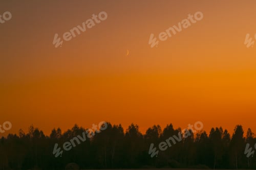 Preview: Sunset And Moon Rising Above Forest. Dramatic Sunset Background. Crescent Above Trees. Night Coming