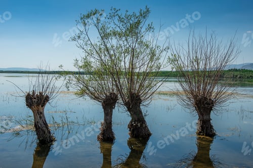 Preview: Civril Isikli Lake in Denizli.