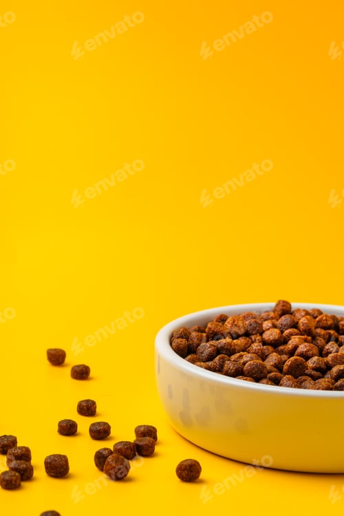 Preview: Bowl with dry pet food on yellow background studio shot