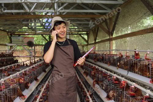 Preview: Cheerful Farmer Takes Orders by Phone in Chicken Coop Managing Poultry Farm