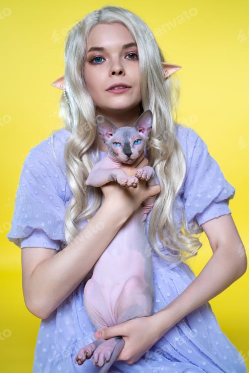 Preview: Cosplayer elf young woman holding Sphinx cat in her hands and showing it on yellow background