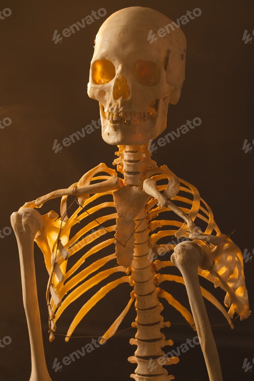 Preview: Vertical image of plastic skeleton and smoke with copy space on black background