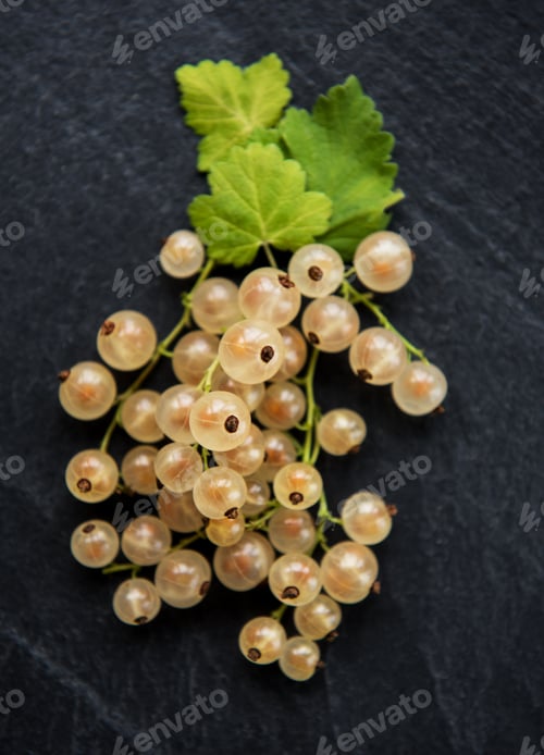 Preview: currants