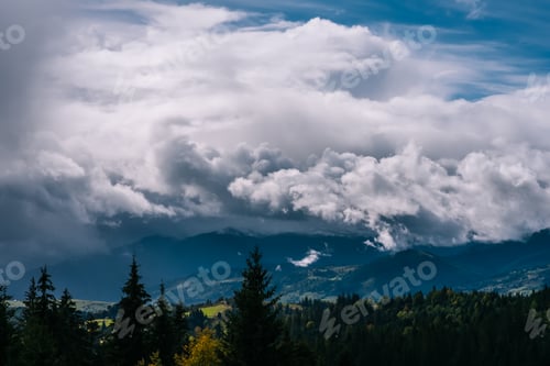 Preview: Coniferous Forest and Mountains Landscape Travel serene scenery