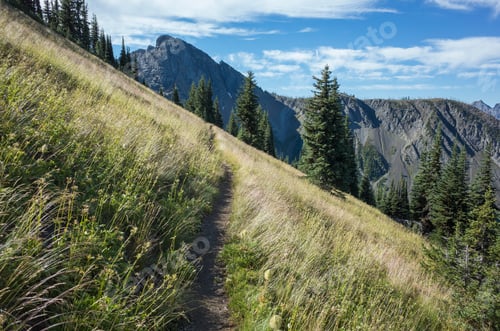 Preview: A steep hillside and forest on the Pacific Crest Trail