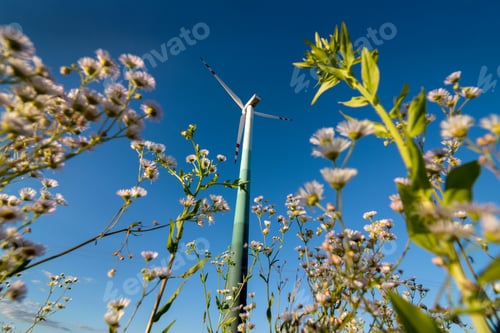 Preview: Windmill for electricity production bottom view in field grasses