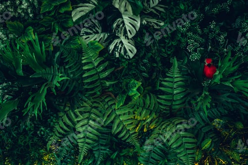 Preview: Close up group of background tropical green leaves texture and abstract background.