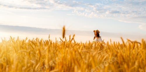 Preview: Woman enjoying freedom in wheat field in countryside during summer