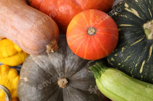 Preview: Many fresh pumpkins and other vegetables of gourd family as background, top view