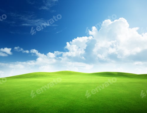 Preview: Field Of Grass And Perfect Sky