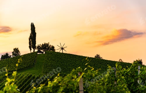 Preview: Wine country Vineyards in Austria, south Styria. Landscape sunset. Grape hill with windmill