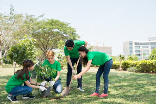 Preview: Planting trees