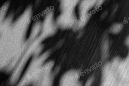 Preview: Leaf shadows on a cement background illustration