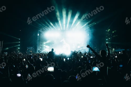 Preview: Concert crowd on a music concert