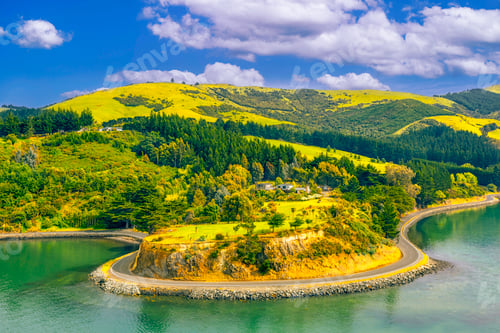Preview: Dunedin Bay