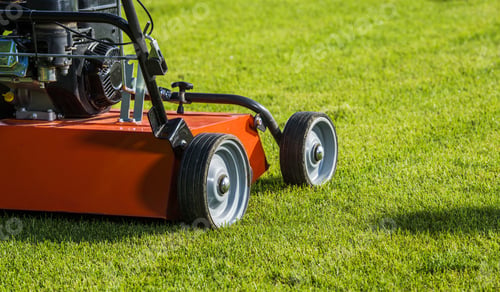 Preview: Backyard Lawn Aeration Using Gasoline Aerator Machine.