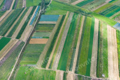 Preview: Spring fields top view.