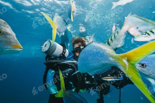 Preview: many fish close to a scuba diver