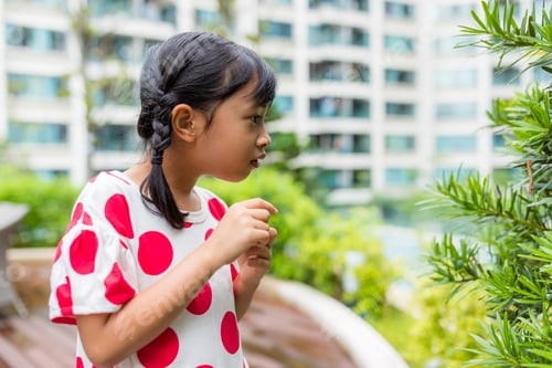 Preview: Little girl look at the green plant