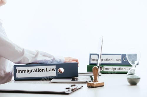 Preview: selective focus of woman taking folder with immigration law lettering near laptop isolated on white