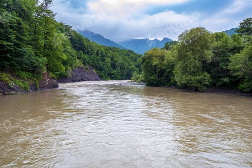 Preview: Summer landscape with mountain stream flowing between lush green forest