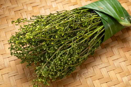 Preview: Fresh raw green bunch of Sadao flowers close up